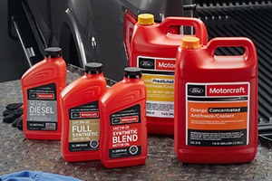 Assortment of Bottles Representing  Fluids Chemicals and Lubricants Maintenance Category